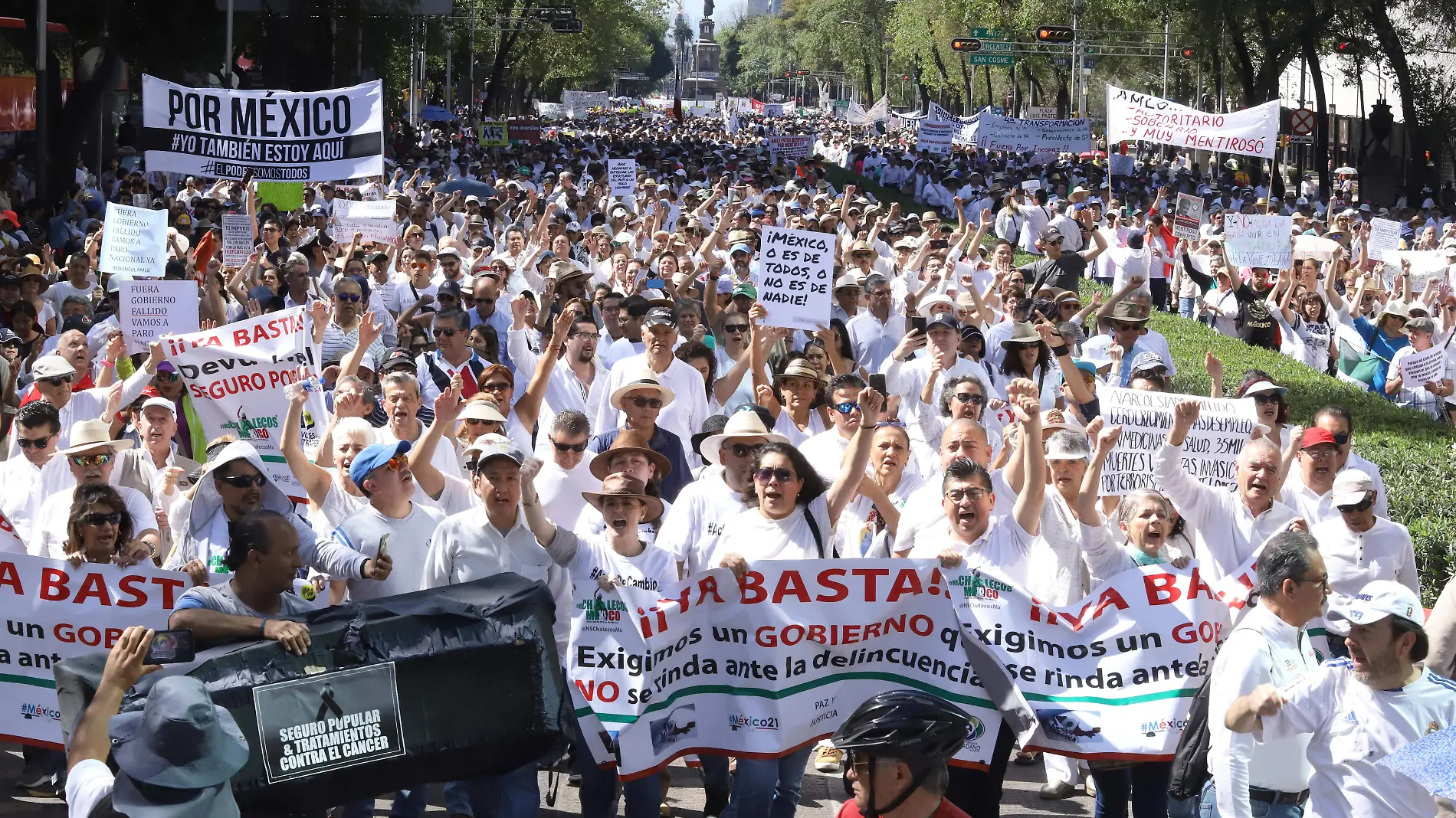 MARCHA ANTIAMLO-alejandro aguilar